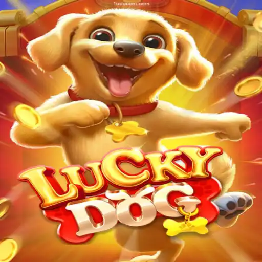 Exploring LuckyDog: A Thrilling Adventure in Online Casino Gaming
